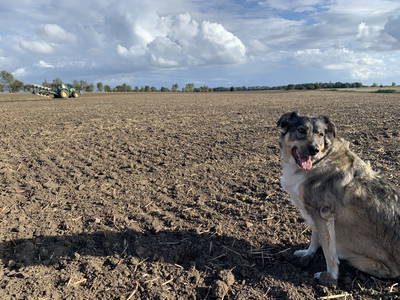 Bild 20 aus  Bauernhof Claussen Fehmarn