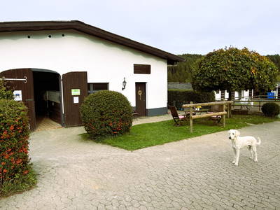 Blick auf den Stutenstall mit Reiterstüberl und zentraler Treffpunkt für viele Aktivitäten