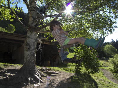 Bild 14 aus  Spörlhof