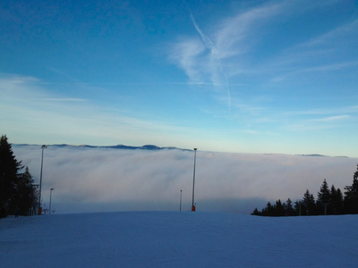 Bild 27 aus  Ferienhof Pauli