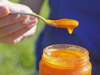 Bild 15 aus  Oberköbenhof