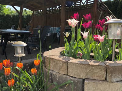 Grillplatz im Hintergrund