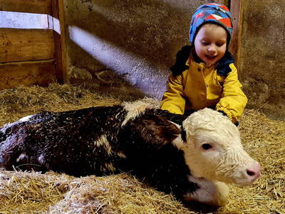 Bild 7 aus  Mittersteghof