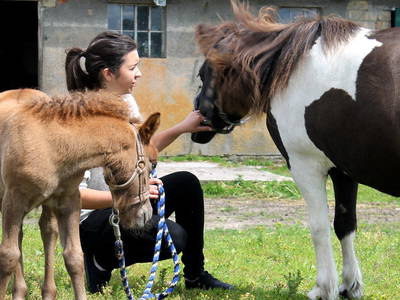Bild 9 aus  Ostseeferienhof Tralau