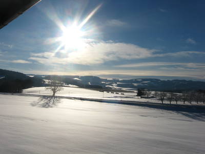 Bild 7 aus  Ingritthof