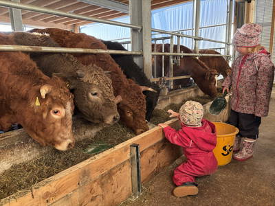 Bild 25 aus  Sunmattehof