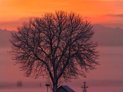 Bild 5 aus  Allgäu Bergferienhof
