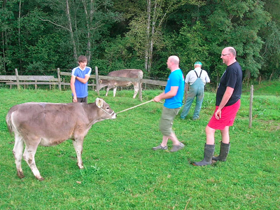 Bild 16 aus  Reicharthof