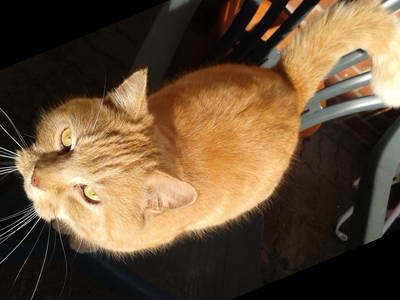 Bild 6 aus  Ferienhof Haas