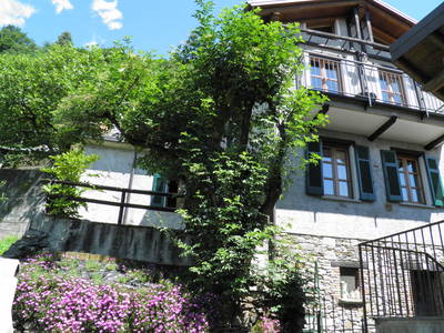 Bild 5 aus  Casarina