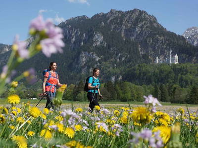 Bild 23 aus  Allgäu Moni