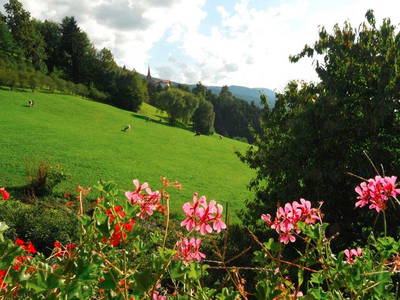 Bild 5 aus  Huberhof