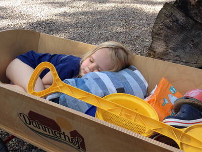 Bild 8 aus  Dahmerhof