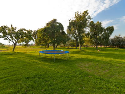 Bild 8 aus  Gutshaus Lexow