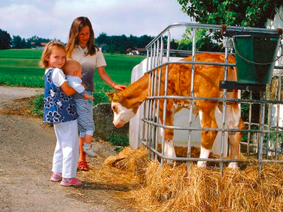 Bild 14 aus  Ferienhof Schuhegger