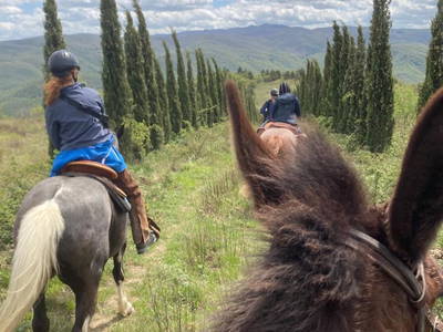 Bild 94 aus  Agriturismo Casa Bivignano