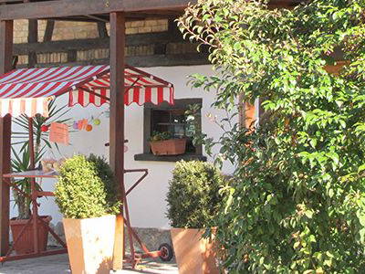 Bild 8 aus  Obst- und Ferienhof Ragg