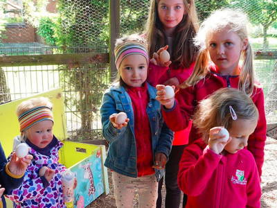 Bild 4 aus  Inselurlaub Fehmarn