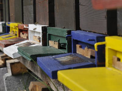 Bild 26 aus  Residence Obermoarhof