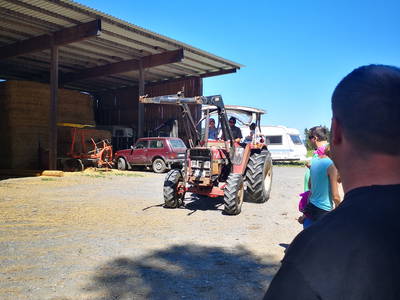 Bild 10 aus  Ferienbauernhof Voß