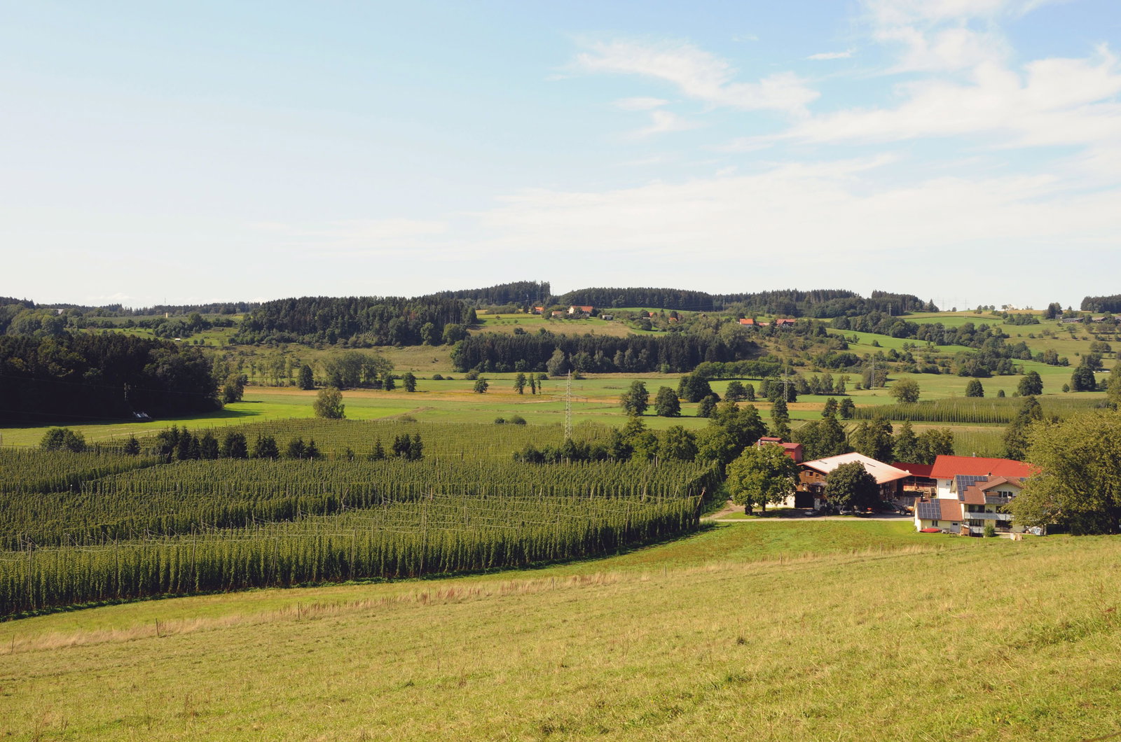 Ferienhof Hopfgärtle Müller