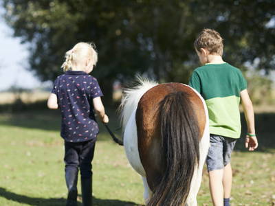 Bild 39 aus  LandSelection Ferienhof Brandt,