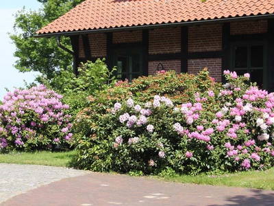 Bild 15 aus  Ferienhaus / Chalet auf dem Gestüt Lohhof mit Kinderreiten oder Pony Reiten