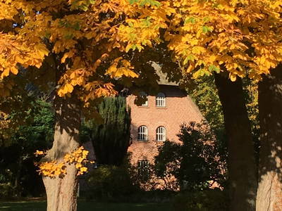 Bild 45 aus  Gut Friederikenhof