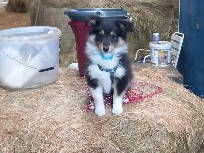 Bild 27 aus  Ferienhof Schnoor