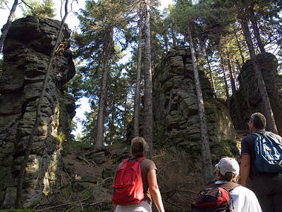 Bild 21 aus  Woferlhof