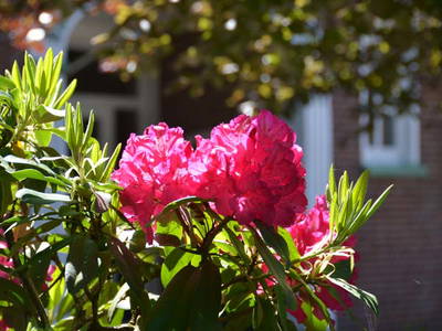 Bild 21 aus  LandSelection Landferienhof Garbert