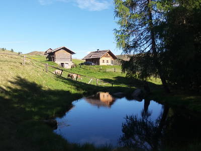 Bild 15 aus  Kreuzplon