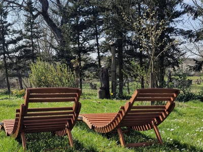 Entspannung pur im Vogelgezwitscher