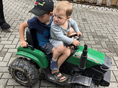 Bild 38 aus  Landkulturhof Glücksbringer