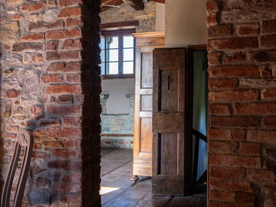 Bild 24 aus  LandSelection Weingut "IL PALAGIO"