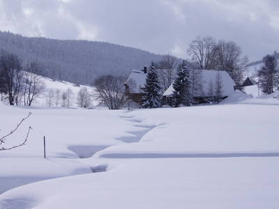 Blick in die Schildwende mit Griesbachhof und Häusle