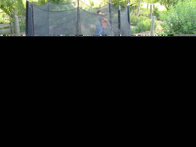 Bild 12 aus  Ferienhof Landfrieden