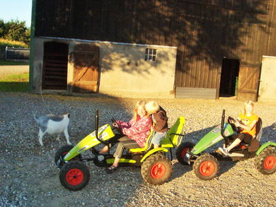 Bild 26 aus  Ostseeferienhof  Stoldt