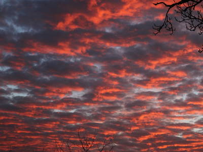 Bild 44 aus  Katrin's Ferienhof