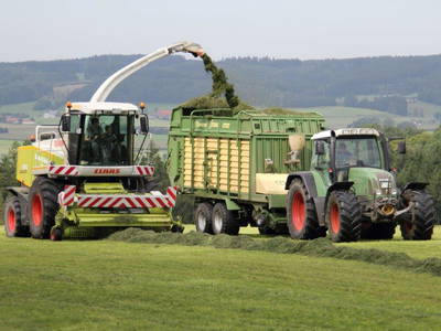 Bild 46 aus  Allgäu Bergferienhof