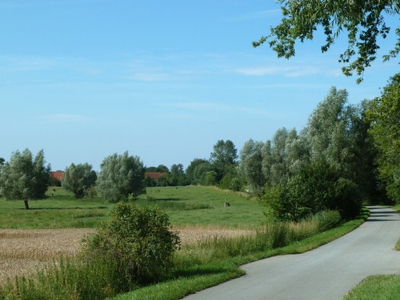 Bild 14 aus  Ferien in Zahren