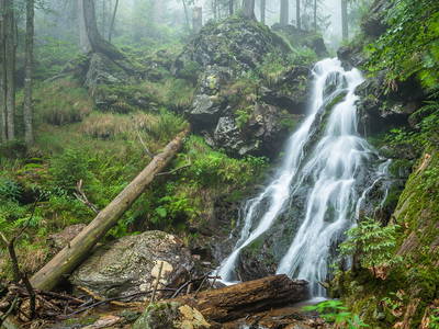 Bild 52 aus  Grashöfle