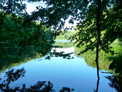 Bild 7 aus  Ferienhaus Melzow