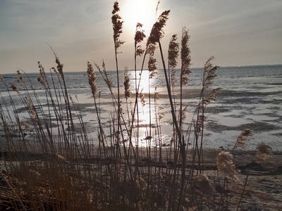 Bild 25 aus  Tommis Landhof