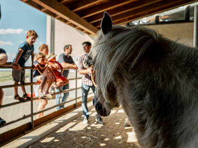 Bild 45 aus  LandSelection Grieshof