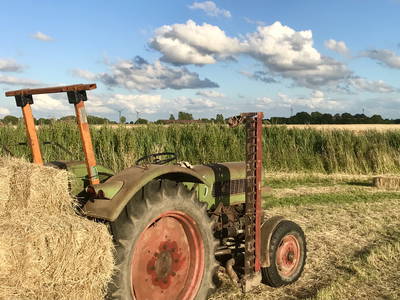 Bild 14 aus  Drei Tage am Meer