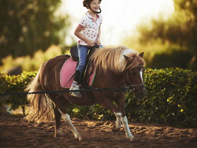 Bild 25 aus  Gut Friederikenhof