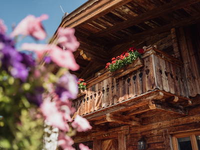 Bild 18 aus  Martenhof