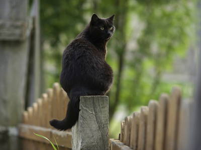 Bild 39 aus  BIO Bergbauernhof Inner-Glieshof