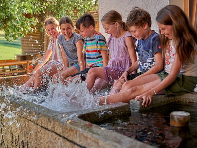 Bild 58 aus  Urlaub am Schoffahanslof im Bayerischen Wald: Natur, Abenteuer & Erholung für die ganze Familie“